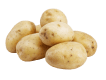 Fresh organic potatoes supplied by JPImpex for global markets